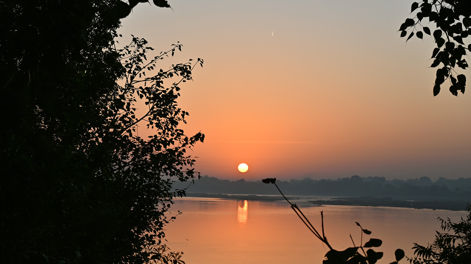 Pinned Section Background - Image 10