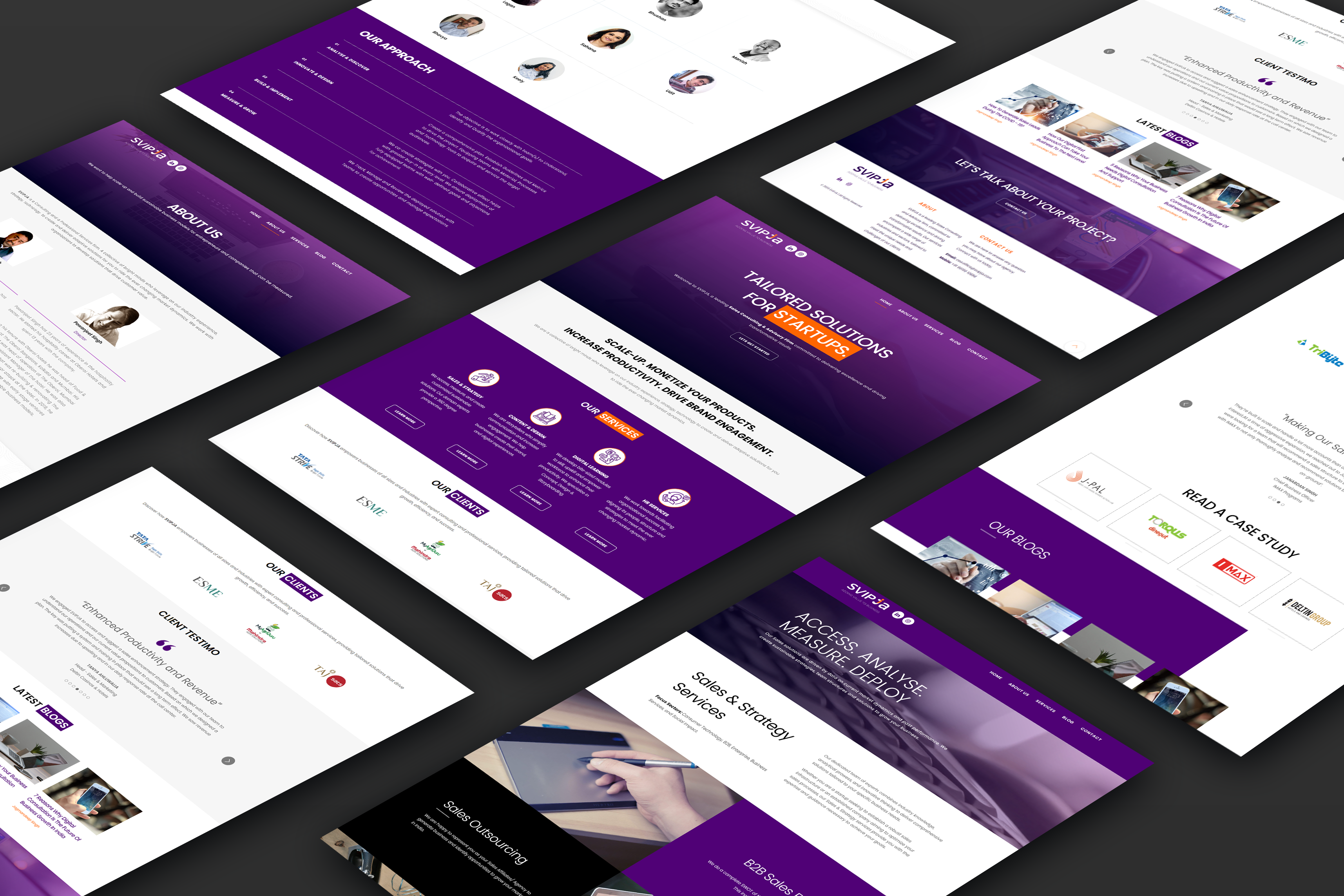 SVIPJA Project Overview - Image 1